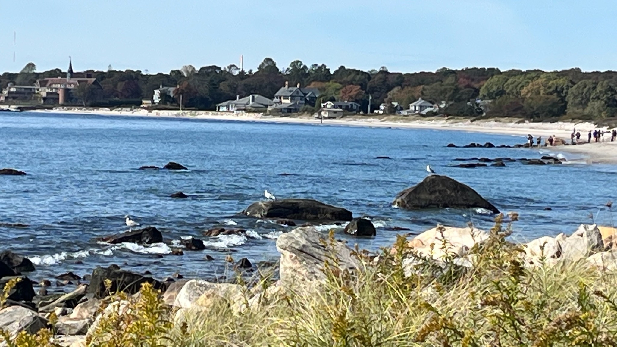 Coastal shoreline with rocks and seagulls